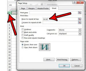 how to repeat the top row on every page in excel 2013