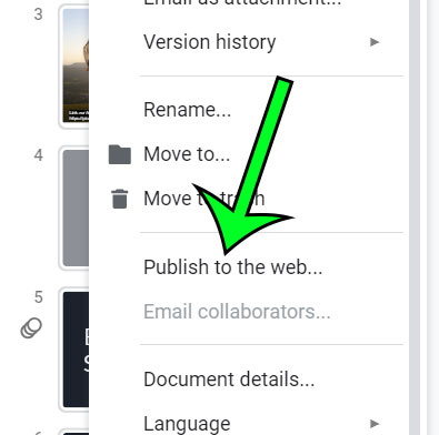 select the publish to the web option