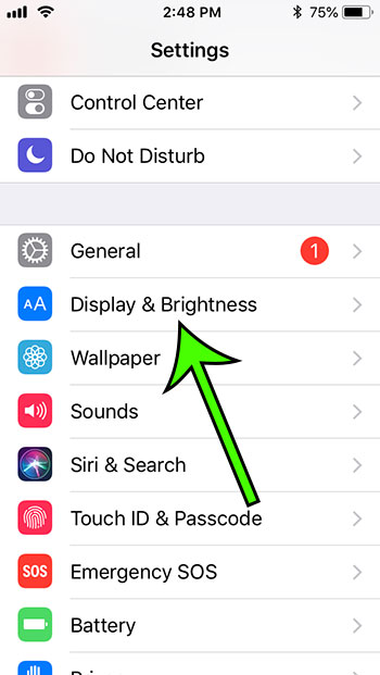 iphone 5 display and brightness menu