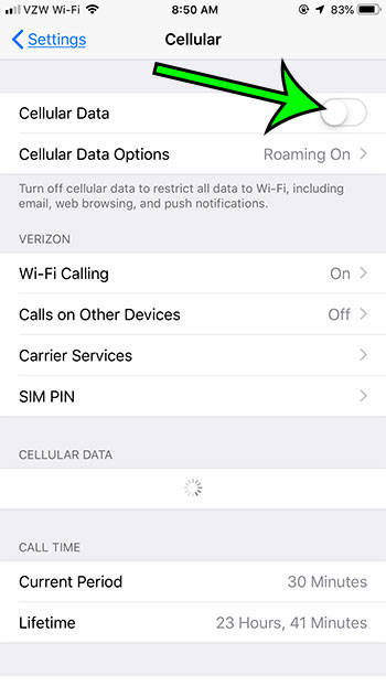 how to turn off all cellular data on an iphone 7