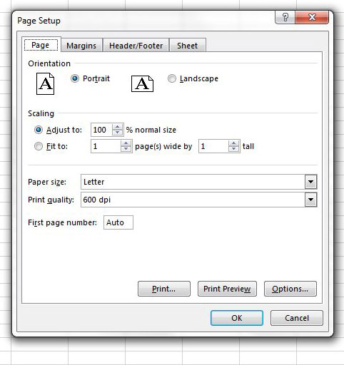 Excel Page Setup menu