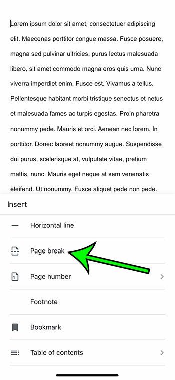 how to insert a page break in the Google Docs iPhone app