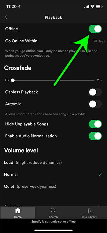 how to enable Offline Mode in Spotify on an iPhone