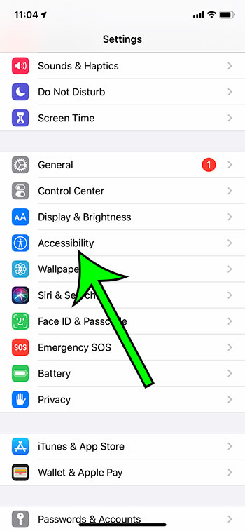 open the Accessibility menu