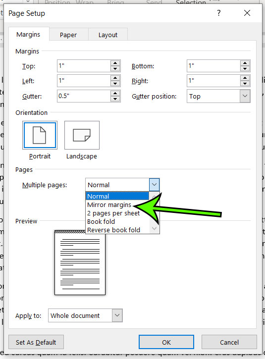 how to set mirror margins in Microsoft Word