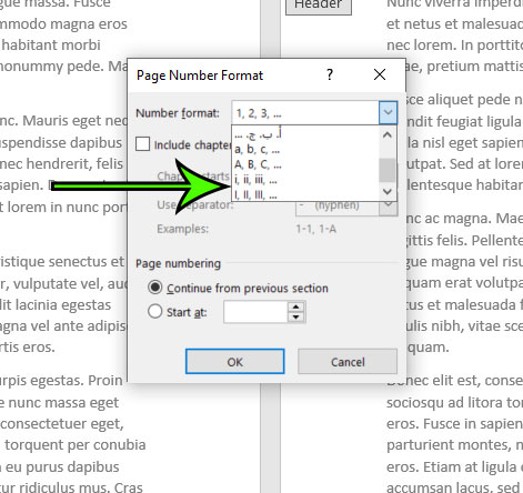 how to use Roman numeral page numbers in Microsoft Word