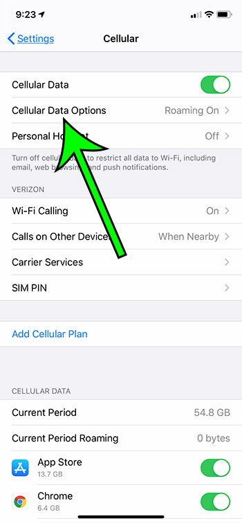 select Cellular Data Options