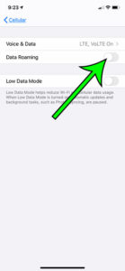 how to disable iPhone data roaming