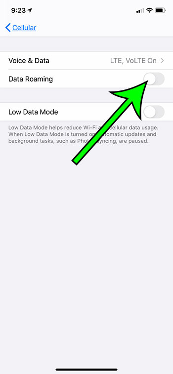 how to turn off data roaming on iPhone 11