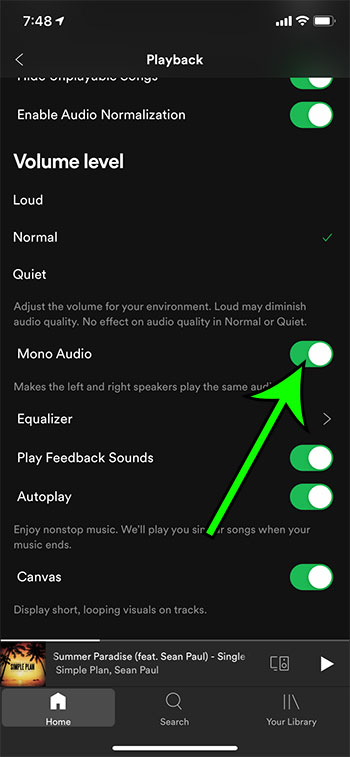 how to switch to mono audio in Spotify on an iPhone
