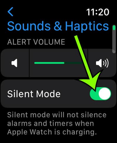 how to put Apple Watch in silent mode