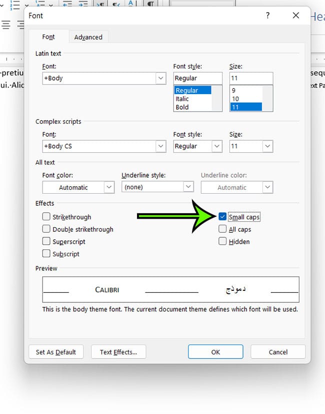 how to use small caps in Word