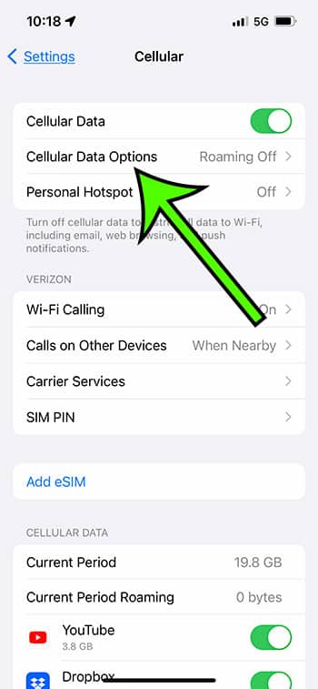 select Cellular Data Options