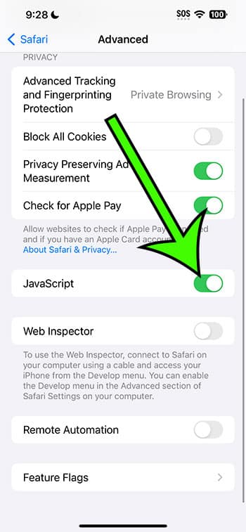 how to enable iPhone 14 Javascript in Safari