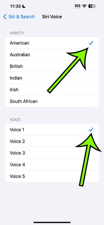 how to switch the voice for Siri on an iPhone 14