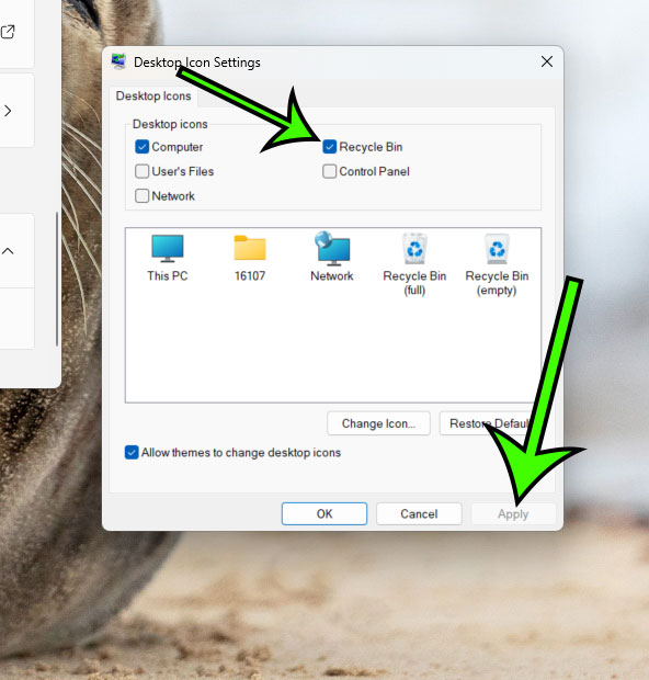 where is Recycle Bin in Windows 11
