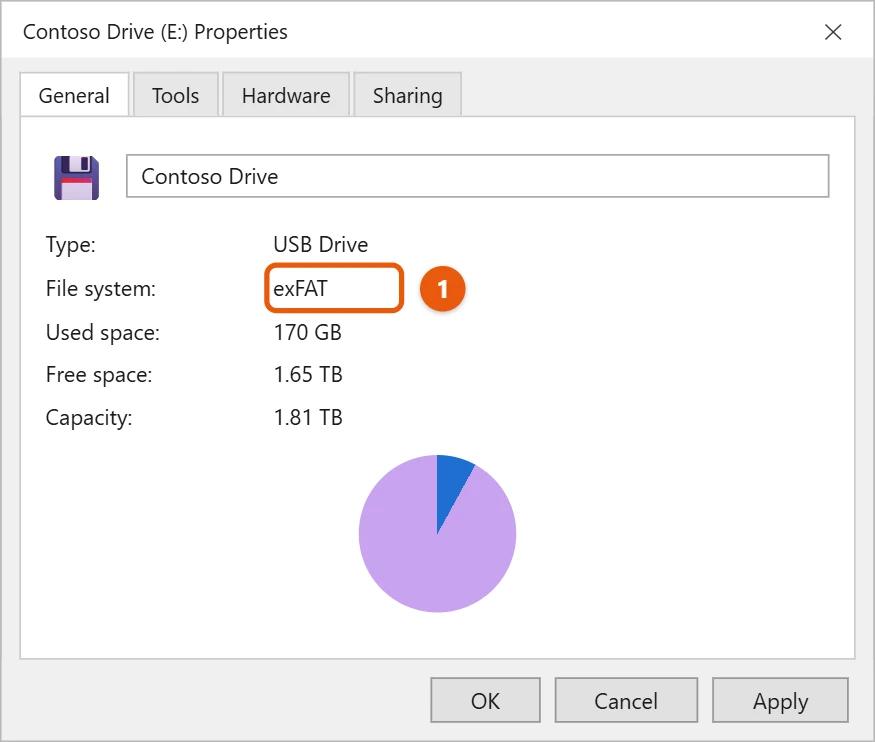 How to Use a WD easystore Drive on Windows 11 2 Illustration of a drive Properties dialog with the File system value highlighted