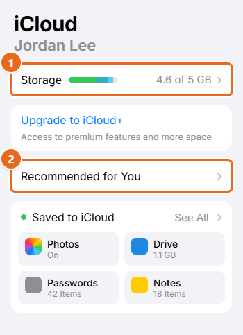 How to Free Up iCloud Storage 1 iPhone iCloud settings screen with the Storage bar showing 4.6 of 5 GB used and Recommended for You highlighted